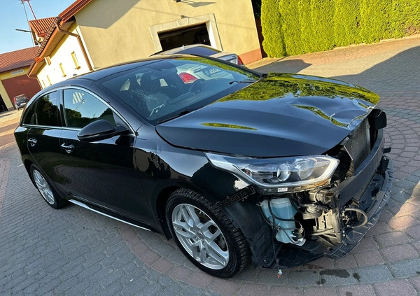 Kia Pro_cee'd cena 53500 przebieg: 54600, rok produkcji 2021 z Siedlce małe 497